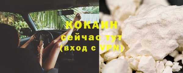 крисы Баксан